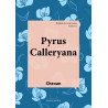 Pyrus Calleryana - roman en 3 tomes, tome 3
