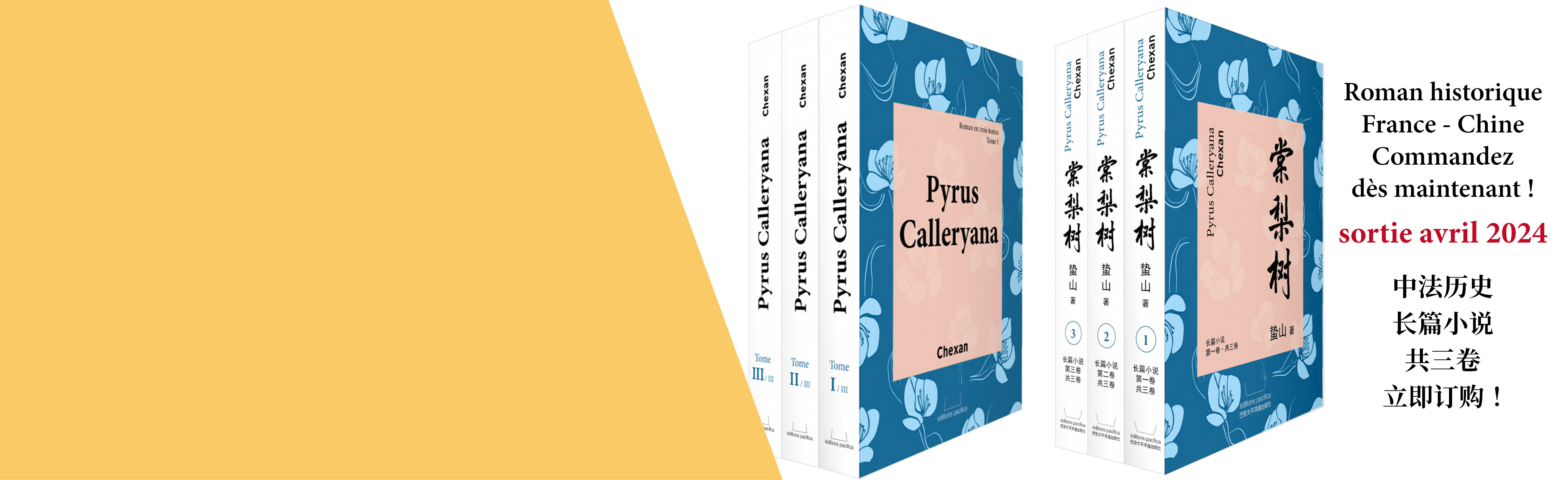 Pyrus Calleryana - 棠梨树